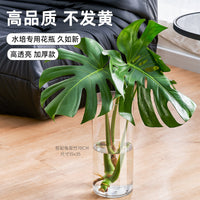 Acrylic Shatterproof Flower Vase for Living Room Decor, Transparent Hydroponic Plant Container, Luxury Style