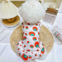 Pet Summer Thin Sun Protection Shedding-Proof Dress for Corgi Bichon Pomeranian Small Medium Large Dogs