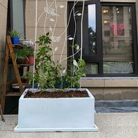 Rectangular Cement-Look Planter Tray with Drainage, Thickened Durable Base, Large Nordic Style
