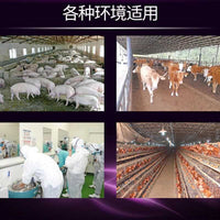 Footwear Disinfection Mat and Tray for Home and Commercial Use