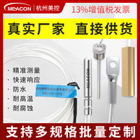PT100/PT1000 Temperature Sensor Probe with Lead Wire