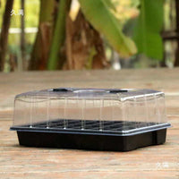 24-Cell Seedling Starter Trays with Dome Lid, Reusable Plant Germination Kit for Home Garden