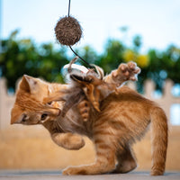 GiGwi Self-Play Cat Wand Toy with Feather/Fabric/Yarn for Kittens and Cats