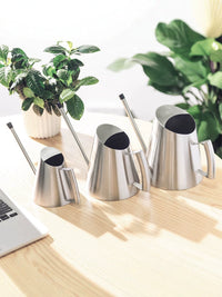 Stainless Steel Long Spout Watering Can for Indoor Plants and Succulents, Small Household Potting Kettle