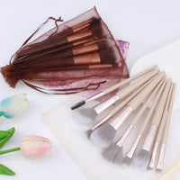 9-Piece Makeup Brush Set with Mesh Bag for Beginners