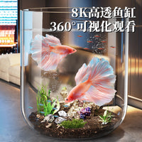Creative Desktop Mini Fish Tank High Transparency Glass-Look Goldfish Bowl for Living Room Decoration