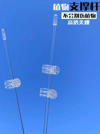 Clear Acrylic Plant Support Stakes and Clips for Climbing Plants and Orchids