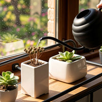 Stainless Steel Watering Can with Spray Nozzle for Indoor Plants and Gardening, 400ml/500ml