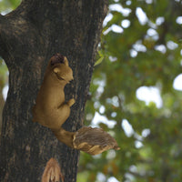 Squirrel Feeder Outdoor Garden Decoration Resin Bird Feeder
