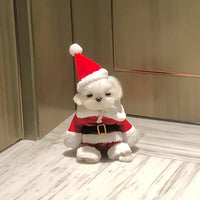 Pet Christmas Santa Claus Costume Set with Hat and Cape for Dogs and Cats