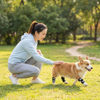 Dog Leg Brace for Injury Recovery and Joint Support, Anti-Lick Sleeve for Post-Surgery Pet Care