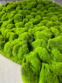 Artificial Moss Turf Mat for Plant Wall & Landscape Decor