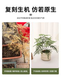 Artificial Bamboo & Money Tree Potted Plants for Desktop Decor