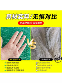Bird Netting for Fruit Trees, Gardens, and Ponds - Durable Nylon Anti-Bird Mesh