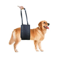 Pet Dog Rear Leg Support Harness for Mobility Assistance