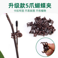 Orchid Plant Support Stakes and Clips for Climbing Vines and Floral Arrangements