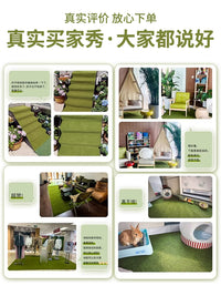 Artificial Moss Carpet for Outdoor Landscaping and Play Areas