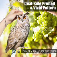 Reflective Owl Decoy for Bird Control - Double-Sided Acrylic Deterrent for Gardens, Balconies, and Orchards