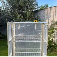 Mini Greenhouse with Multi-Tier Plant Stand for Seedling Propagation, Balcony & Patio