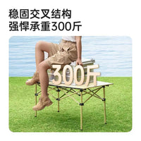 Outdoor Portable Folding Camping Table and Chair Set with Backrest, Picnic Gear