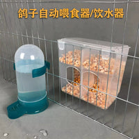 Automatic Pigeon Quail Feeder and Waterer for Cages