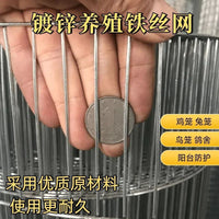 Galvanized Iron Wire Mesh for Bird Cages and Flower Pots, Rust-Proof, Encrypted Breeding Net for Indoor Use