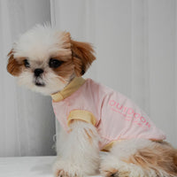 Pet Cooling Vest for Small Dogs & Cats, Breathable Sun Protection Shirt
