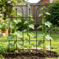 Garden Arch Trellis for Climbing Plants, Cucumber Bean Support, Morning Glory Rose Vine Frame