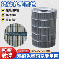 Galvanized Welded Wire Mesh Fence for Poultry and Pet Enclosures, Rust-Resistant Steel Wire Netting