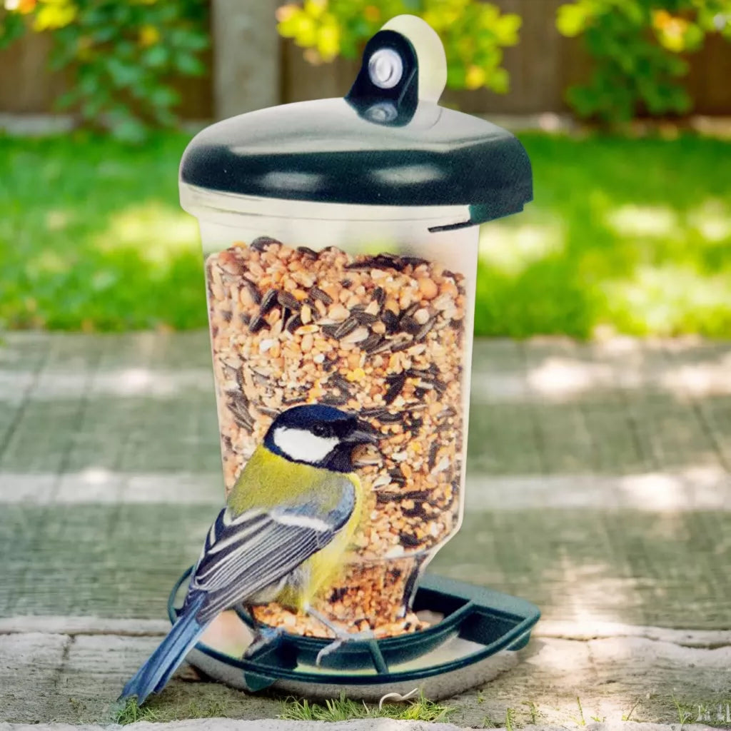 Window Mounted Bird Feeder with Suction Cups for Wild Birds