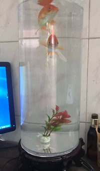 Cylindrical Glass Fish Tank for Desktop, Small Aquarium for Home and Office