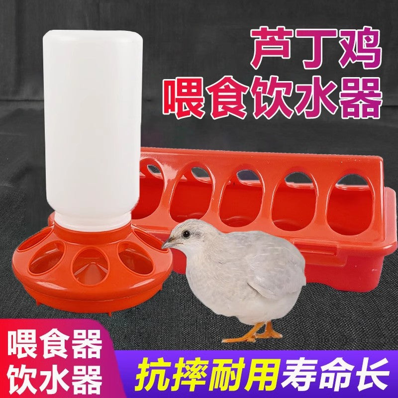 Automatic Quail Feeder and Waterer for Small Birds