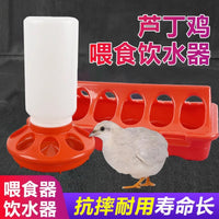 Automatic Quail Feeder and Waterer for Small Birds