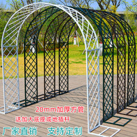 Outdoor Metal Garden Arch for Climbing Plants, Roses, and Vines