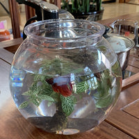 Desktop Round Fish Tank Small Goldfish Bowl Plastic Landscape Ecological Aquarium Transparent Shatterproof