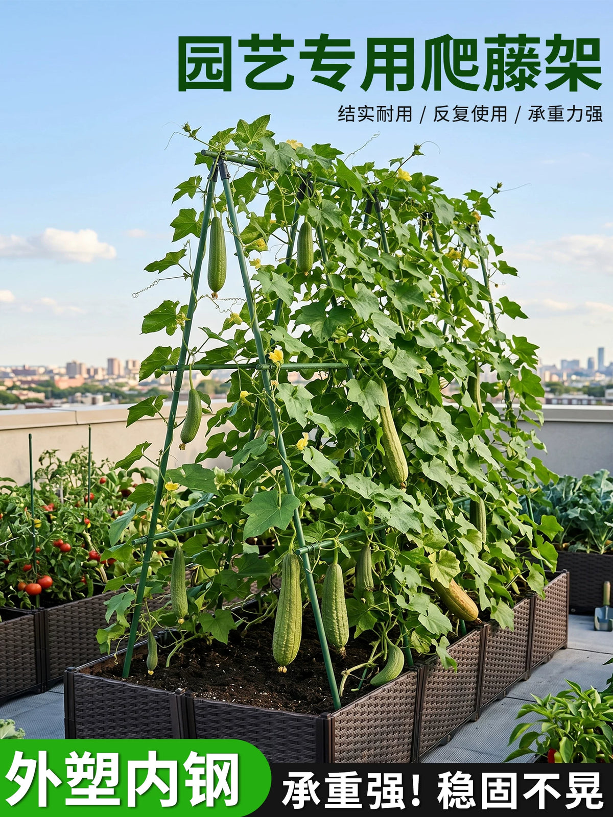 Garden Trellis for Climbing Plants, Heavy Duty Metal Arch Support for Cucumber, Loofah, Tomato, and Grape Vines