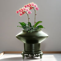 Luxury Ceramic Planter with Saucer for Orchids and Green Plants