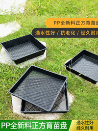 Thickened Seedling Tray for Sprouts and Succulents, Square Germination Planter