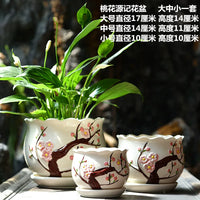 Large Ceramic Planter Pot with Tray for Orchids & Succulents, White Terracotta