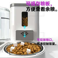 Automatic Pet Feeder with Water Dispenser and Stainless Steel Bowls for Cats and Dogs