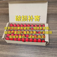 LED Lotus Filament Bulb E12/E14/E27 for Altar and Home Decor
