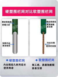 Plastic Coated Wire Mesh Fence for Poultry and Garden Enclosures