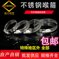 304 Stainless Steel American Style Hose Clamp for Security Monitoring and Gas Pipes