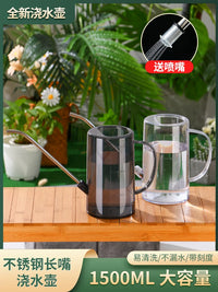 Long Spout Stainless Steel Watering Can for Indoor Outdoor Plants