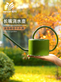 Long Spout Watering Can for Indoor Plants & Garden, 1L Stainless Steel Handle
