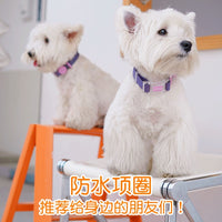 Waterproof Dog Collar with Leash for Small, Medium, and Large Breeds