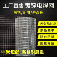 Galvanized Welded Wire Mesh Fence for Garden, Balcony, Pet Enclosures, and Rodent Protection