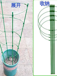 Telescopic Plant Support Trellis for Climbing Plants, Moonflower, Rose, Orchid, Pothos, Balcony Greenery