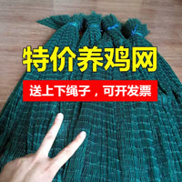 Poultry Netting Chicken Fencing Mesh for Farm and Garden - Durable and Secure Enclosure