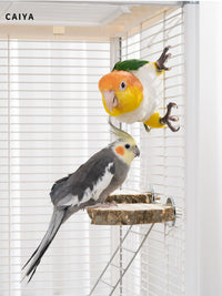 Parrot Prickly Ash Wood Standing Platform for Budgies and Peonies, Solid Wood Rest Platform, Jumping Platform, Bird Cage Decoration
